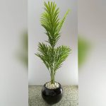 Artificial Palm Plants Potted with 25cm Fiberglass Planter