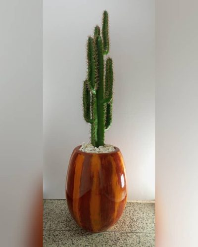 Artificial Cactus Plants