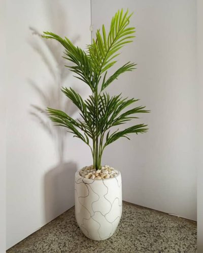 Fiberglass Pot with palm plant