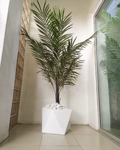30cmX30cm Galaxy Fiberglass Vase Potted With Dark Palm Plant - Height 200cm