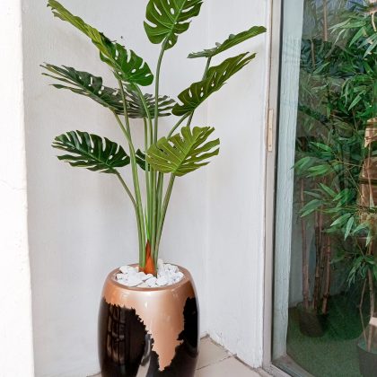 Artificial Monstera Plant Potted With a Fiberglass Pot - Height 174cm