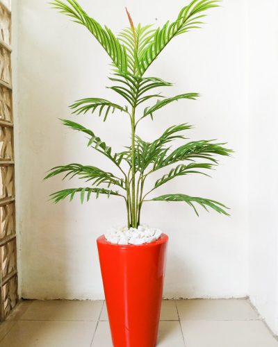 Single Palm Plant Potted With Red Cone Fiberglass Pot - Height 150cm
