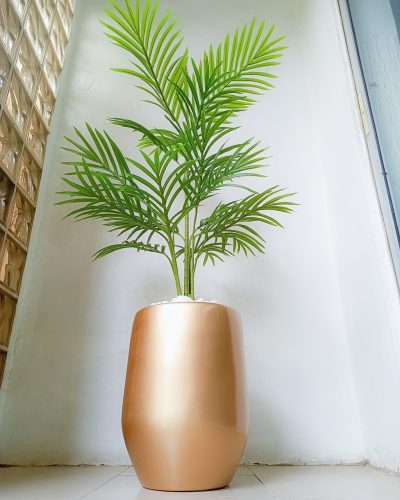 Single Palm Plant Potted With Gold Fiberglass Pot -Height 150cm
