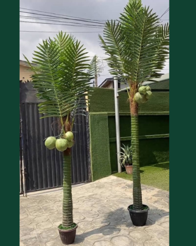 ARTIFICIAL COCONUT PALM TREES | SALES OF FAKE PLANTS