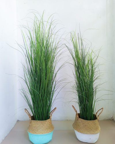 Reed Grass Plant In Wicker Basket Vase