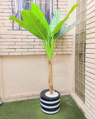 Artificial Banana Tree With Colorful Cylinder Planter