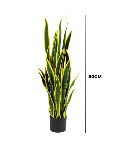 Artificial Snake (Mother Tongue) Plants - Nigeria Plants Wholesaler