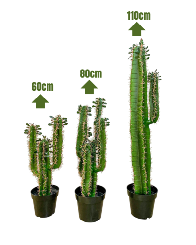 Quality Artificial Cactus Plants | Wholesale Of Fake Plants/Flowers