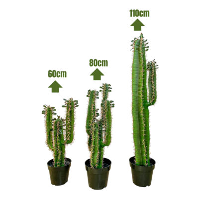 Quality Artificial Cactus Plants | Wholesale Of Fake Plants/Flowers
