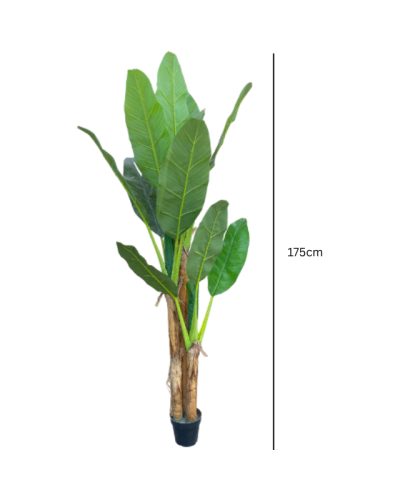 Artificial Three Stem Banana Tree Plants - 175cm