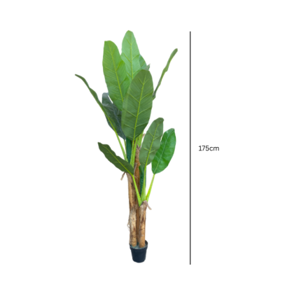 Artificial Three Stem Banana Tree Plants - 175cm