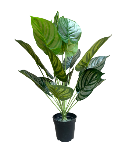 ARTIFICIAL HOUSEPLANTS | GREEN APPLE PLANTS | "Buy Now"