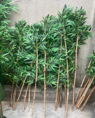 INDOOR FAKE BAMBOO PLANTS | ONLINE & OFFLINE PLANTS SALES