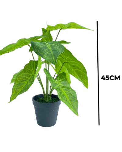 TABLETOP FAKE PLANTS | CALADIUM PLANS | "ORDER NOW"