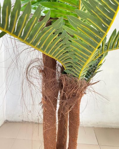 EXTERIOR FAUX PALM TREES | BULK ARTIFICIAL PLANTS SALES