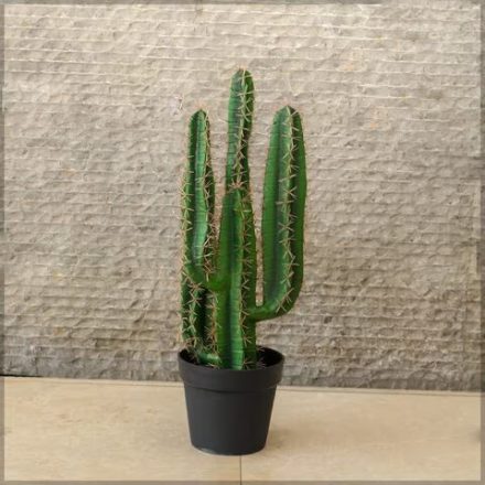 Quality Artificial Cactus Plants For Interior & Exterior Decorations