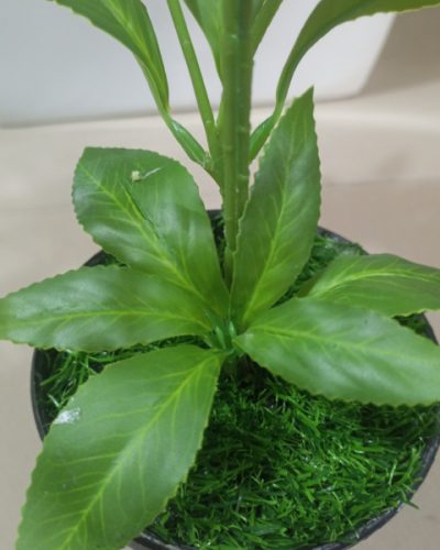 Fake Mini Indoor Plants | Wholesale Of Artificial Sarcandra Plant