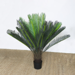 Artificial Palm Cycas Plants For Interior | Bulk Sales Of Fake Plant Nigeria - Image 2
