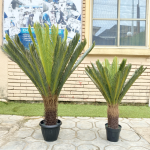 Artificial Palm Cycas Plants For Interior | Bulk Sales Of Fake Plant Nigeria