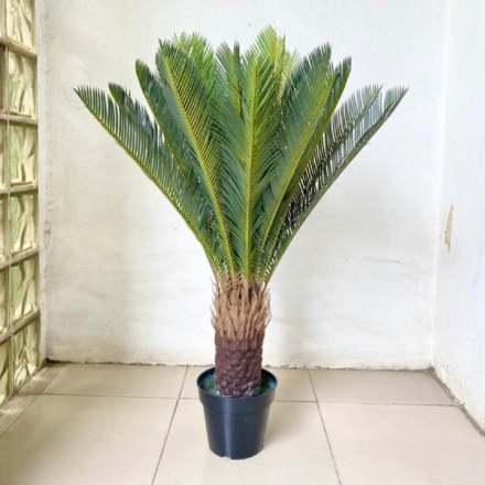 Artificial Palm Cycas Plants For Interior | Bulk Sales Of Fake Plant Nigeria