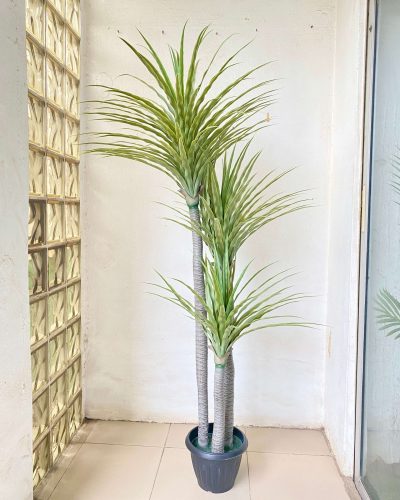 Artificial Yucca Plant For Interior Decor | Shop Fake Plants/Flowers Now