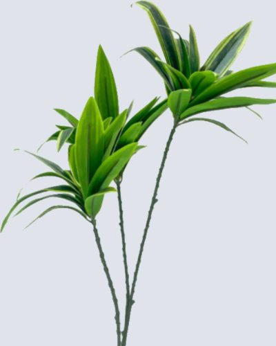 Artificial Mini Potted Plants/Flowers | Mini Potted Dracaena Plants For Interior Decor