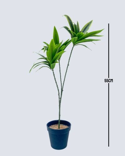 Artificial Mini Potted Plants/Flowers | Mini Potted Dracaena Plants For Interior Decor