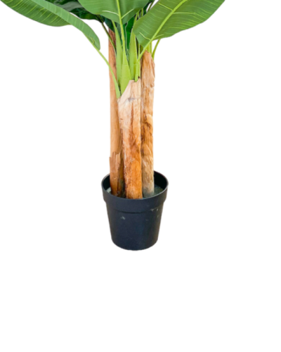 Artificial Three Stem Banana Tree Plants - 1750cm