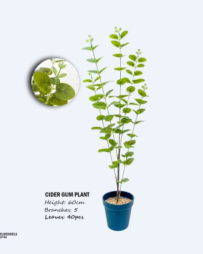 Artificial Tabletop Mini Plants/Flowers | Mini Potted Plants For Interior Design