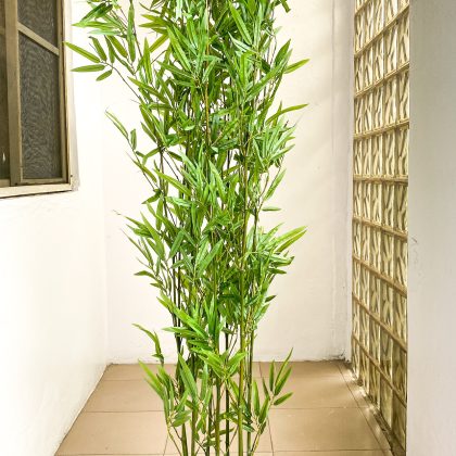 Artificial Tiny Bamboo Plants - 170cm