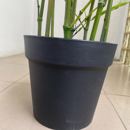 Artificial Tiny Bamboo Plants - 170cm