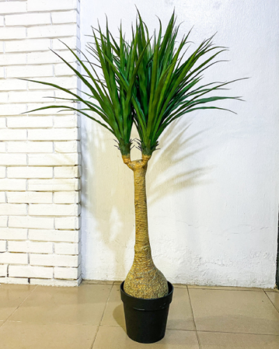 Artificial Yucca Flower Plant For Interior Home, Office And Hotels Decorations