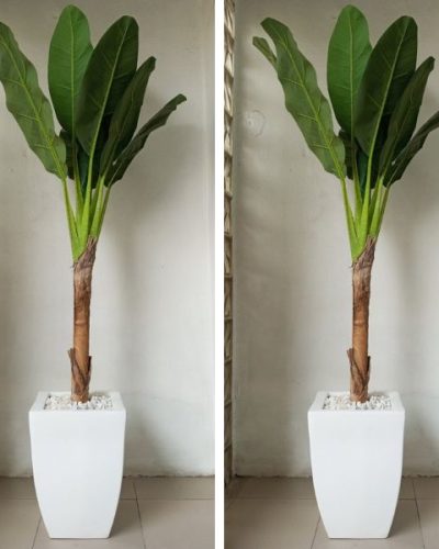 plant and vase combo