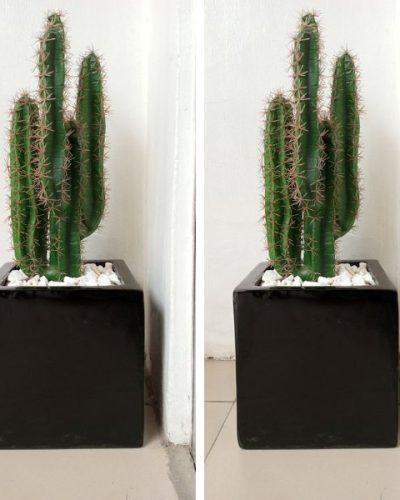 Artificial Cactus Plant Potted With Square Vase Fiberglass
