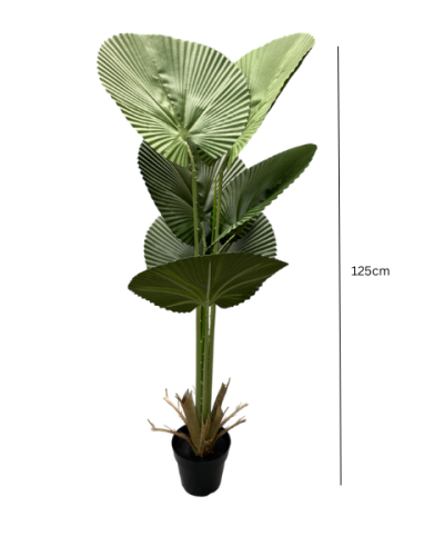 Fan Palm Leaves Plant | Wholesale Of Artificial Plants And Flowers