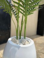 Classic Fiberglass Vase Potted With Artificial Palm Plant | Height: 180cm - Image 2