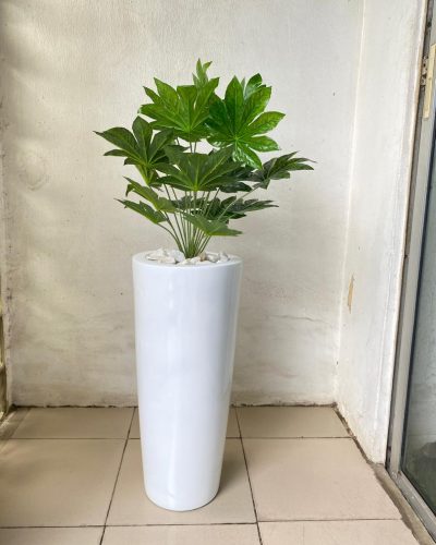 Cone Fiberglass vase Potted with Artificial Japan Fatsia Plant | Height:130cm