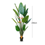 Artificial Paradise Bird Tree Plant | Height - 200cm