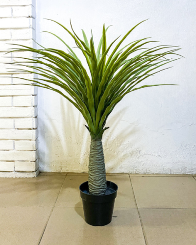 Artificial Mini Yucca Plant | Nigeria No1 Plants/Flowers Wholesaler