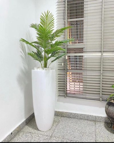 Palm plant potted with 120cm slim cylinder vase