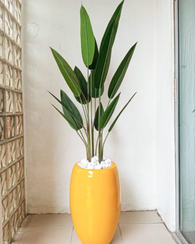 Skybird Plants Potted With 60cm Classic Fiberglass Planter