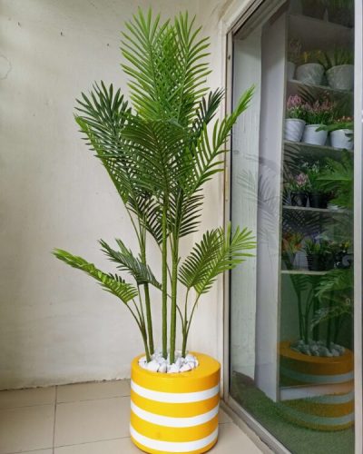 curved mouth cylinder fiberglass planter potted with six stem palm