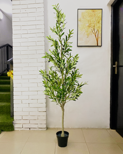 Artificial Ficus Plant Tree | Nigeria Warehouse For Plants/Trees