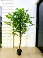 Artificial Ficus Trees Plants - 150cm And 180cm