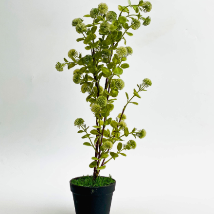 Artificial Plant vs Real Plant