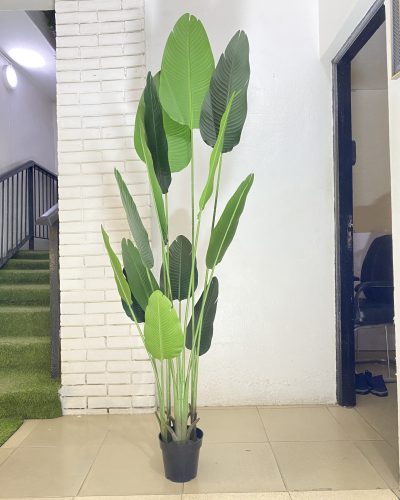 Artificial Traveler Banana Plant – Height:200cm