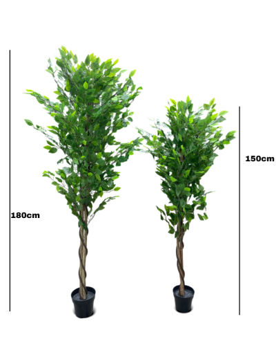 Artificial Ficus Trees Plants - 150cm And 180cm
