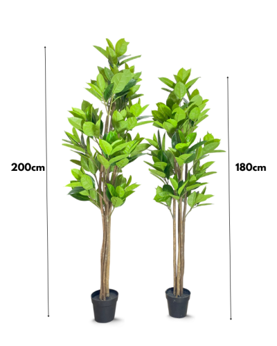 Ultra-Realistic Artificial Fiddle Tree Plant - H' 180CM And 200CM