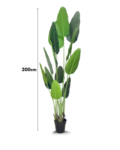Artificial Traveler Banana Plant – Height:200cm
