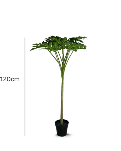 Buy Artificial Papaya Plant in Nigeria - Pawpaw Tree Wholesale Price